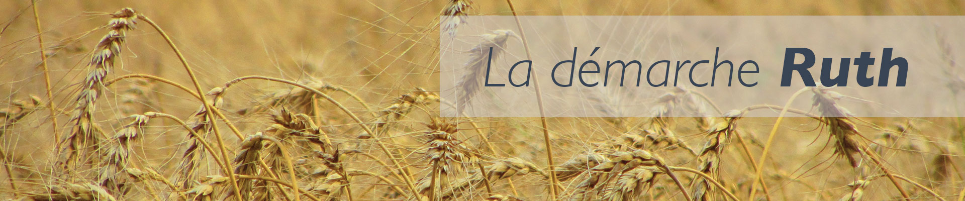 Blé