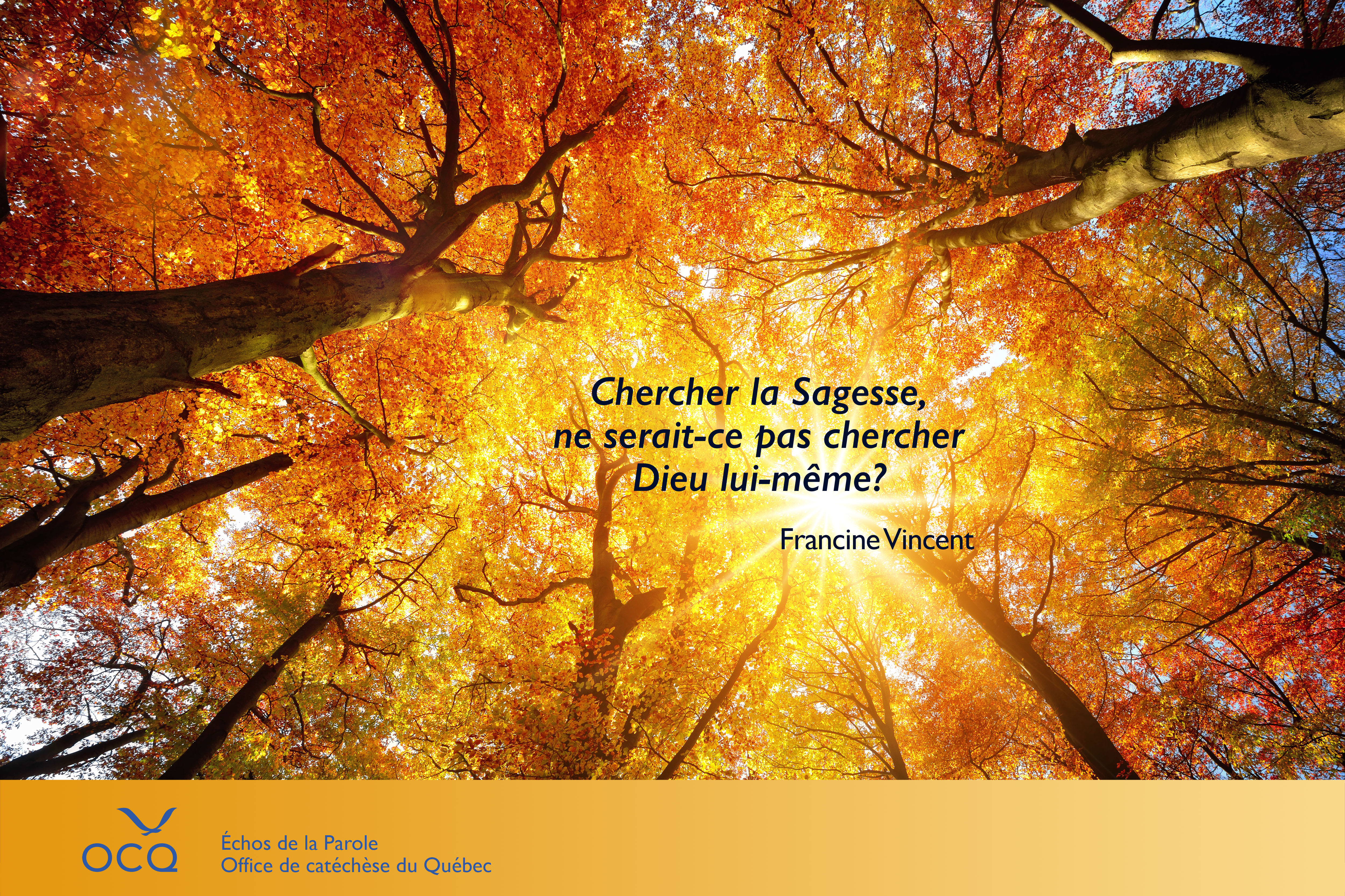Une sagesse bienveillante