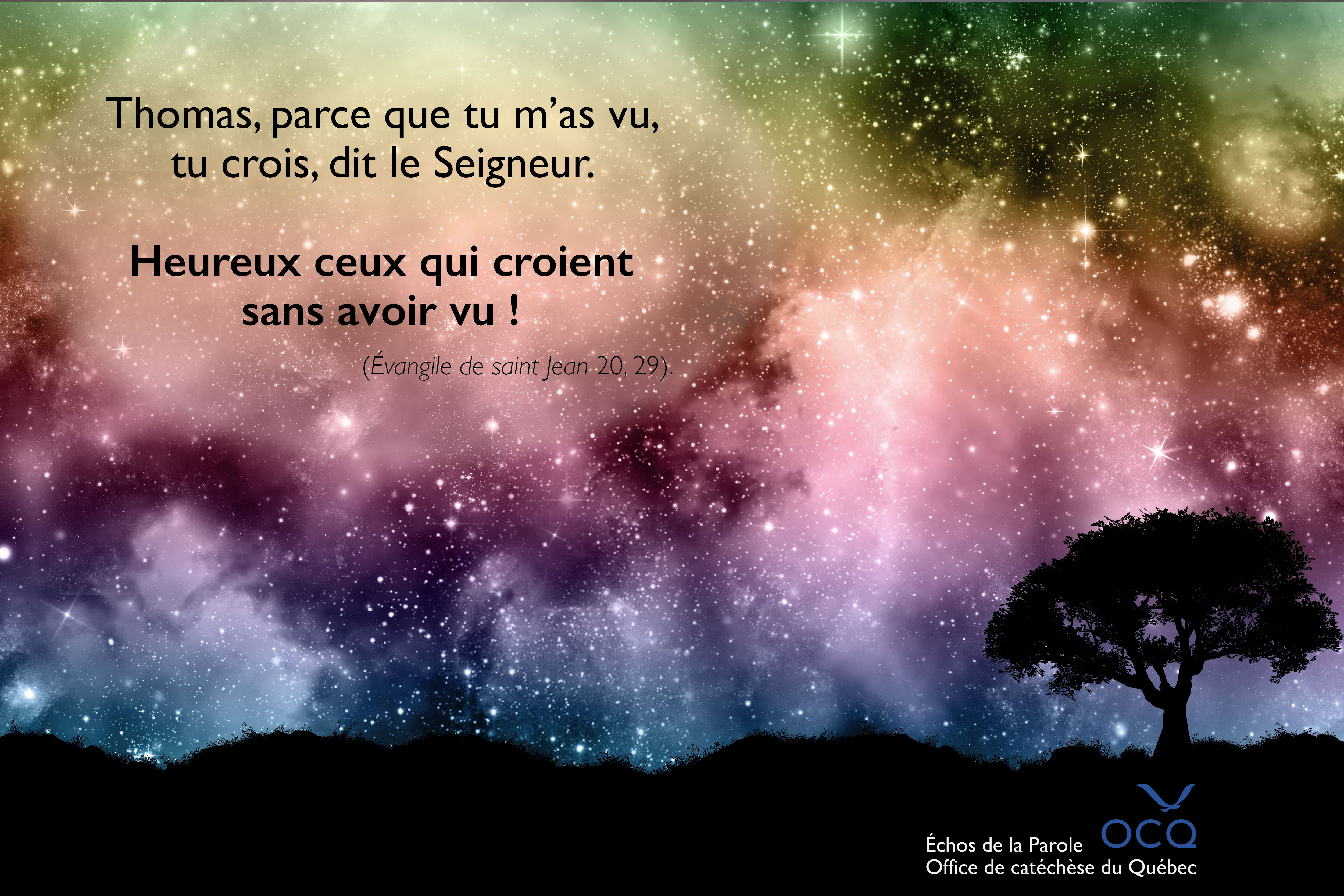 Heureux ceux qui croient sans avoir vu !
(Évangile de saint Jean 20, 29).                       