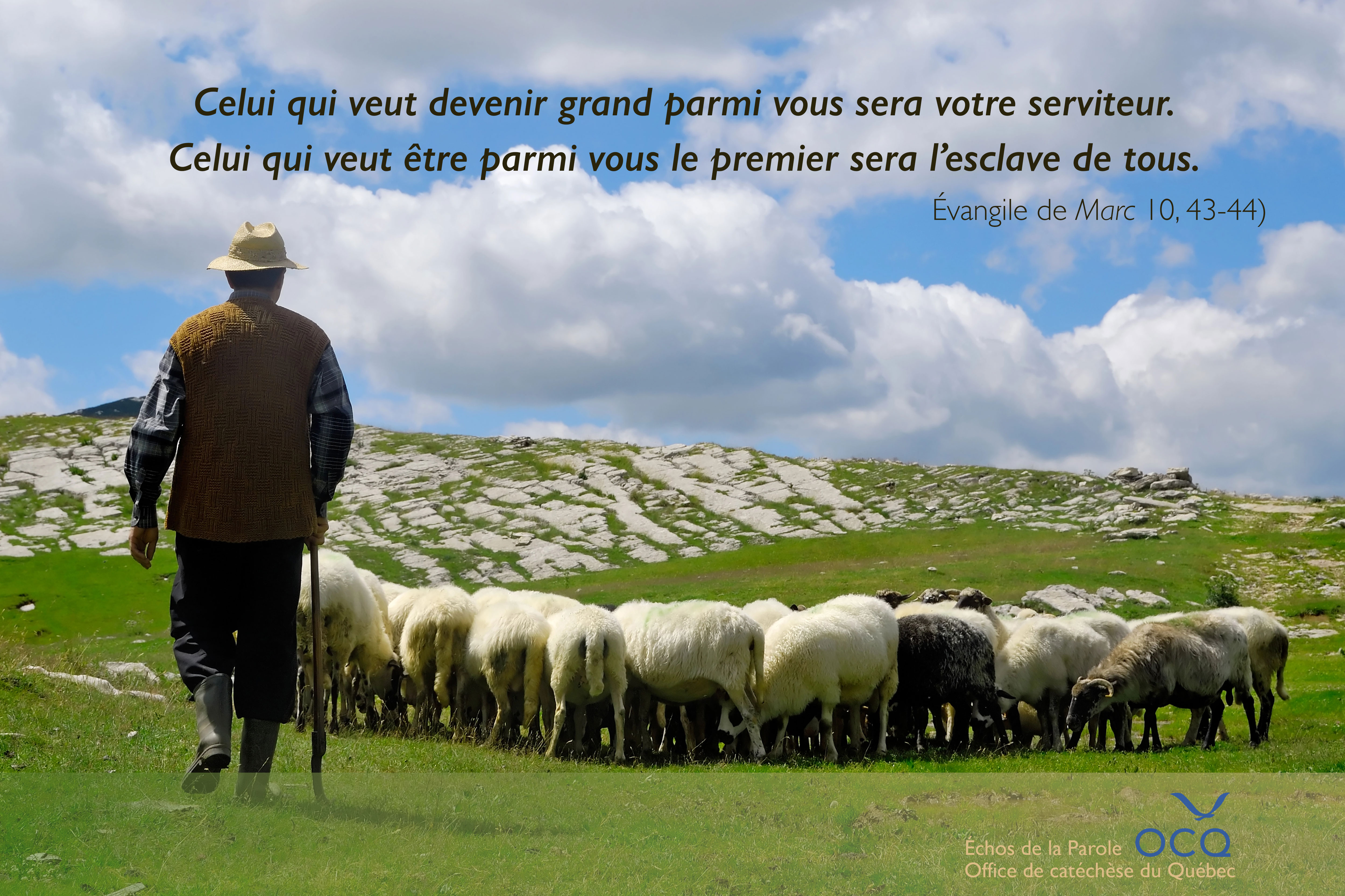 Pêche miraculeuse 